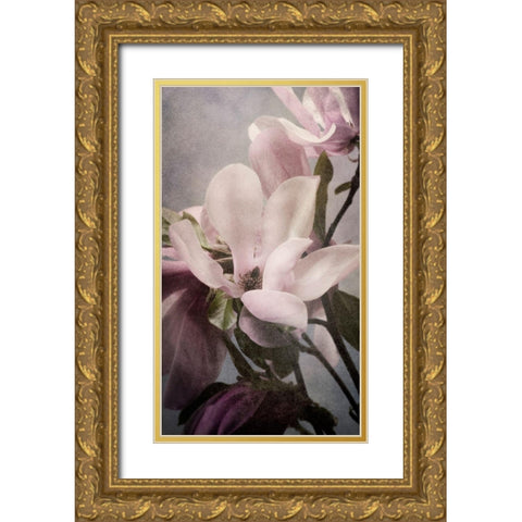 Magnolia Memories 1 Gold Ornate Wood Framed Art Print with Double Matting by Greenwood, Julie