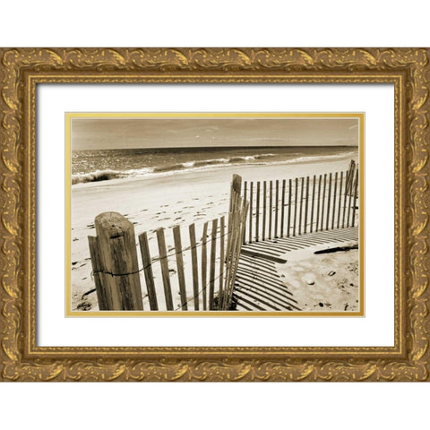 Beach Walk 1 Gold Ornate Wood Framed Art Print with Double Matting by Amber Light Gallery