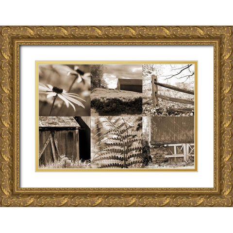 Roadside Beauty Gold Ornate Wood Framed Art Print with Double Matting by Amber Light Gallery