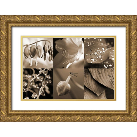 Garden Path Gold Ornate Wood Framed Art Print with Double Matting by Amber Light Gallery