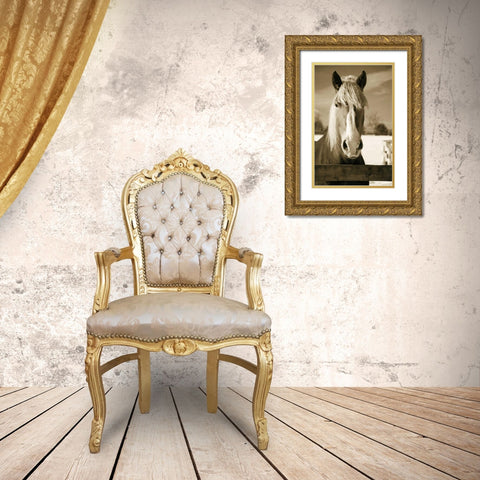 At the Correl Gold Ornate Wood Framed Art Print with Double Matting by Amber Light Gallery