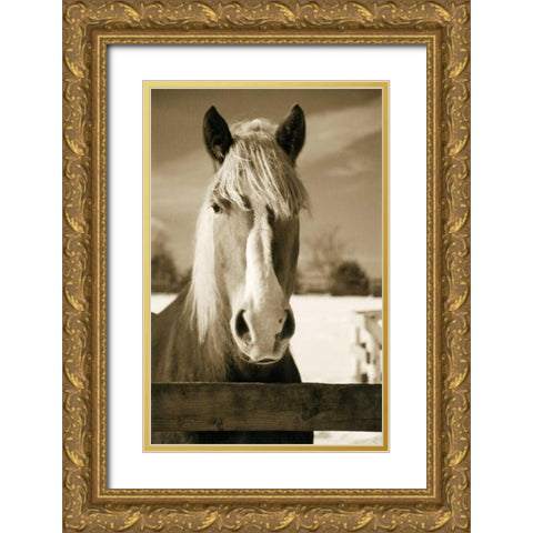 At the Correl Gold Ornate Wood Framed Art Print with Double Matting by Amber Light Gallery