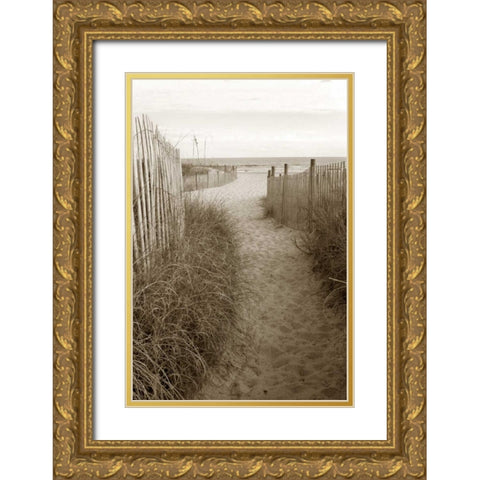 Beach Trail 1 Gold Ornate Wood Framed Art Print with Double Matting by Amber Light Gallery