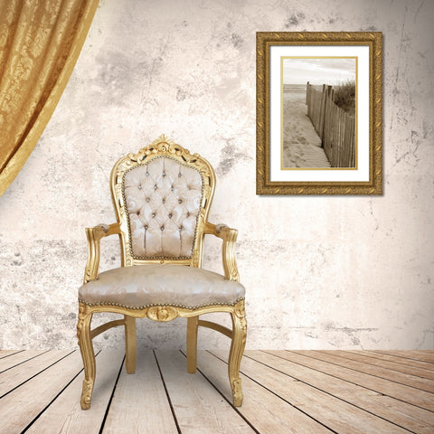 Beach Trail 2 Gold Ornate Wood Framed Art Print with Double Matting by Amber Light Gallery