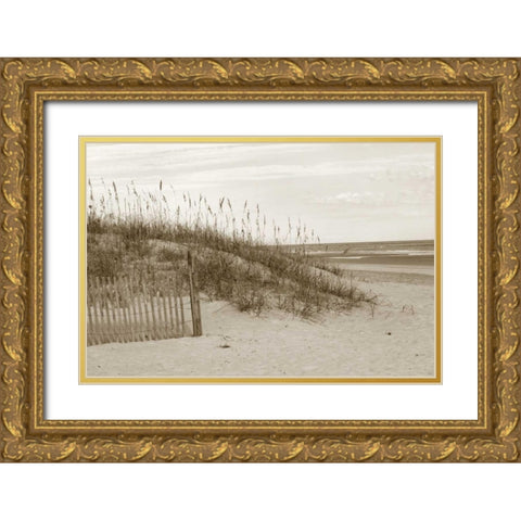 In the Dunes 1 Gold Ornate Wood Framed Art Print with Double Matting by Amber Light Gallery