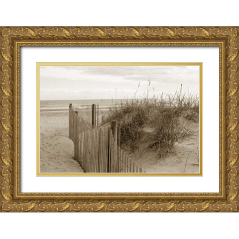 In the Dunes 2 Gold Ornate Wood Framed Art Print with Double Matting by Amber Light Gallery