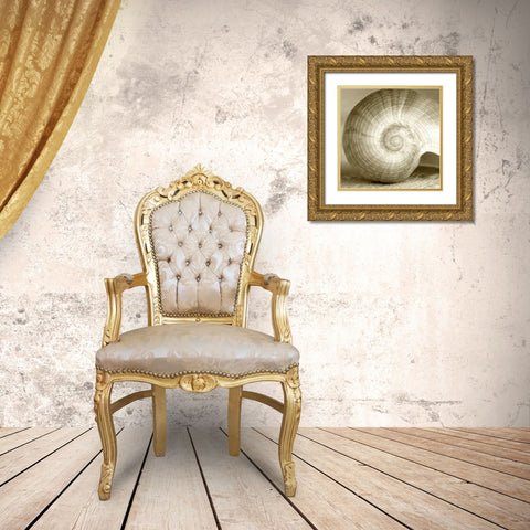 Sepia Shell Life 1 Gold Ornate Wood Framed Art Print with Double Matting by Amber Light Gallery