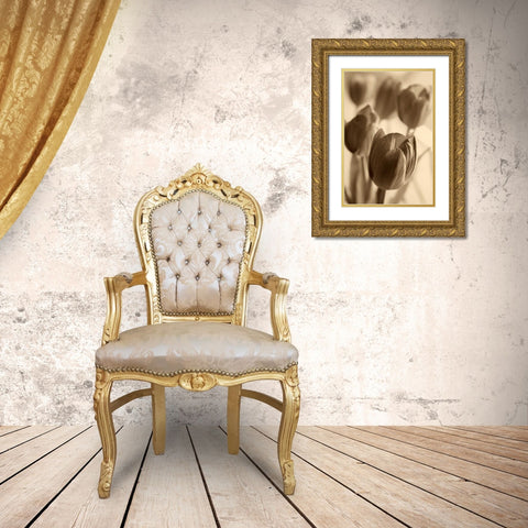 Illuminated Tulips 1 Gold Ornate Wood Framed Art Print with Double Matting by Amber Light Gallery