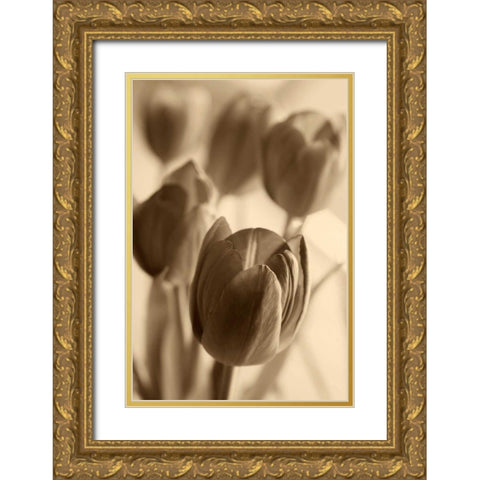 Illuminated Tulips 1 Gold Ornate Wood Framed Art Print with Double Matting by Amber Light Gallery