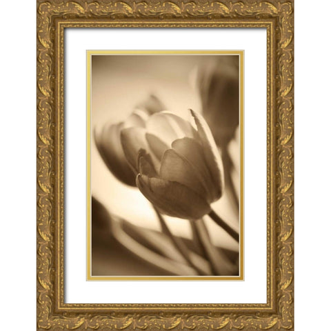 Illuminated Tulips 2 Gold Ornate Wood Framed Art Print with Double Matting by Amber Light Gallery