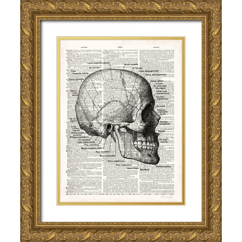 Vintage Anatomy Skull Gold Ornate Wood Framed Art Print with Double Matting by James, Christopher