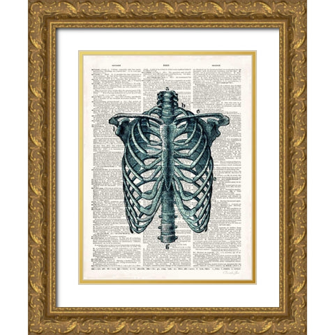 Vintage Anatomy Study Gold Ornate Wood Framed Art Print with Double Matting by James, Christopher