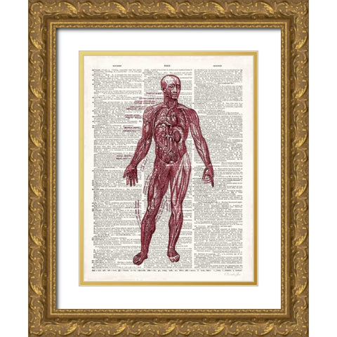 Vintage Anatomy Book  Gold Ornate Wood Framed Art Print with Double Matting by James, Christopher
