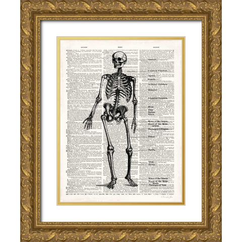 Vintage Anatomy Skeleton  Gold Ornate Wood Framed Art Print with Double Matting by James, Christopher