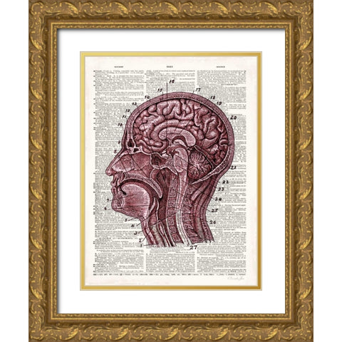 Vintage Anatomy Brain Gold Ornate Wood Framed Art Print with Double Matting by James, Christopher