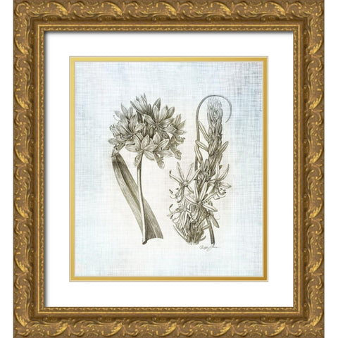 Farmhouse Botanical 1 Gold Ornate Wood Framed Art Print with Double Matting by James, Christopher