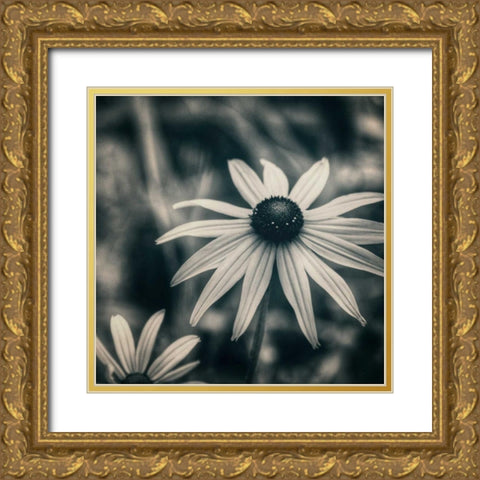 Garden At Dusk Gold Ornate Wood Framed Art Print with Double Matting by Hoey, Linda