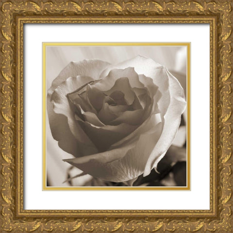 Open Rose Gold Ornate Wood Framed Art Print with Double Matting by Semenza, Marlana