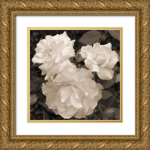 Rose Trio Gold Ornate Wood Framed Art Print with Double Matting by Semenza, Marlana