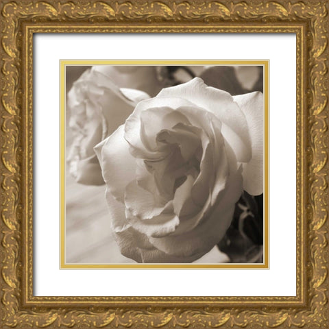 Sepia Rose 2 Gold Ornate Wood Framed Art Print with Double Matting by Semenza, Marlana