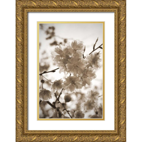 Blossom Twig 1 Gold Ornate Wood Framed Art Print with Double Matting by Semenza, Marlana