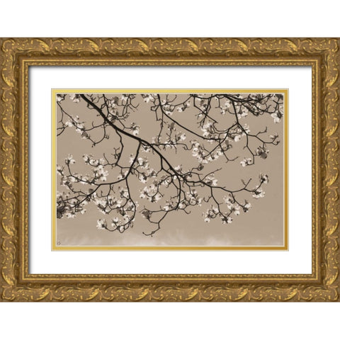 Dogwood Silhouette 1 Gold Ornate Wood Framed Art Print with Double Matting by Semenza, Marlana