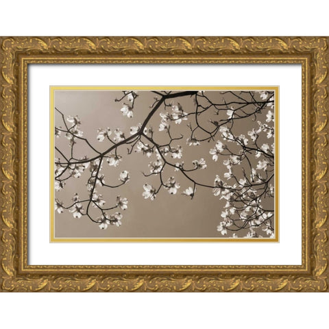 Dogwood Silhouette 2 Gold Ornate Wood Framed Art Print with Double Matting by Semenza, Marlana