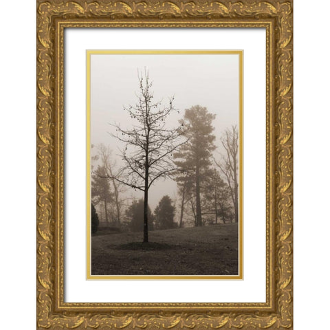 Evening Mist 1 Gold Ornate Wood Framed Art Print with Double Matting by Sememza, Marlana