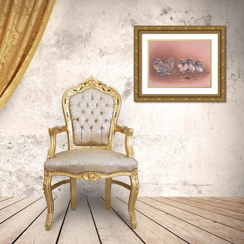 Birdy II Gold Ornate Wood Framed Art Print with Double Matting by Weenink, Ruud