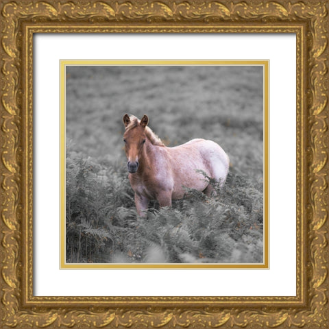 Wild Horses-New Forest Gold Ornate Wood Framed Art Print with Double Matting by Frank, Assaf