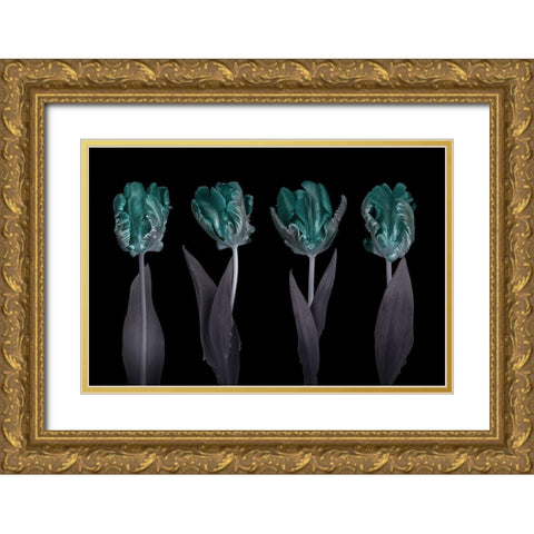 Rococo Tulips Gold Ornate Wood Framed Art Print with Double Matting by Frank, Assaf