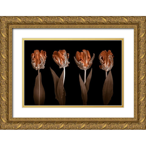 Rococo Tulips Gold Ornate Wood Framed Art Print with Double Matting by Frank, Assaf