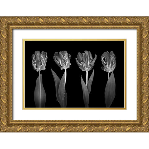 Rococo Tulips Gold Ornate Wood Framed Art Print with Double Matting by Frank, Assaf