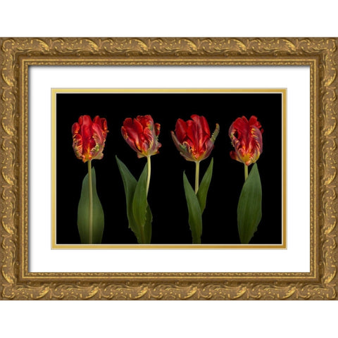 Rococo Tulips Gold Ornate Wood Framed Art Print with Double Matting by Frank, Assaf