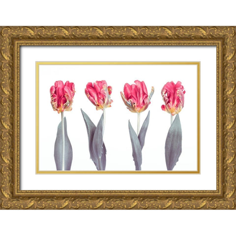 Rococo Tulips Gold Ornate Wood Framed Art Print with Double Matting by Frank, Assaf