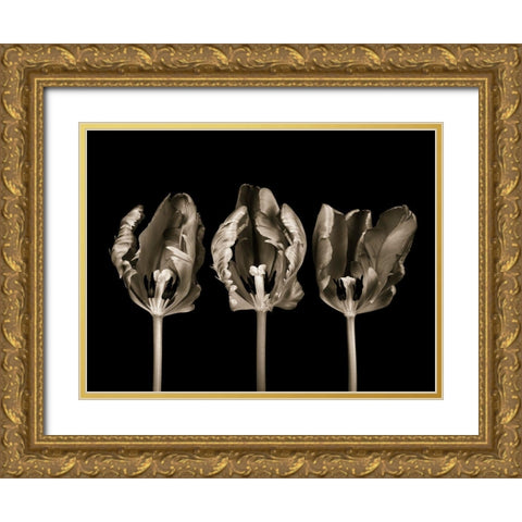 Rococo tulips Gold Ornate Wood Framed Art Print with Double Matting by Frank, Assaf