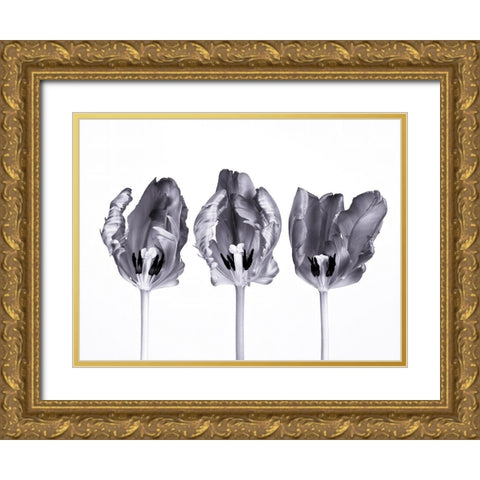 Rococo tulips Gold Ornate Wood Framed Art Print with Double Matting by Frank, Assaf