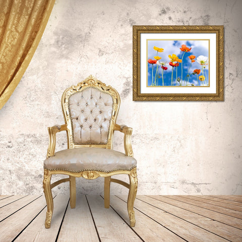 Poppies against blue skies Gold Ornate Wood Framed Art Print with Double Matting by Frank, Assaf