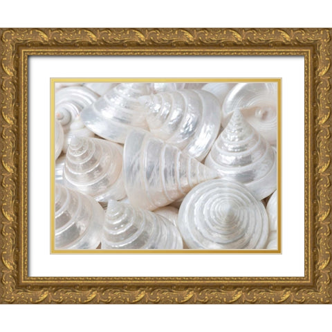 Pearl Troca sea shells close-up Gold Ornate Wood Framed Art Print with Double Matting by Frank, Assaf