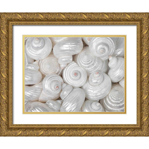 Mixed pearly sea shells close-up Gold Ornate Wood Framed Art Print with Double Matting by Frank, Assaf