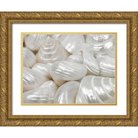 Mixed pearly sea shells close-up Gold Ornate Wood Framed Art Print with Double Matting by Frank, Assaf