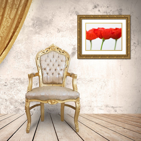 Three red poppies, close-up Gold Ornate Wood Framed Art Print with Double Matting by Frank, Assaf