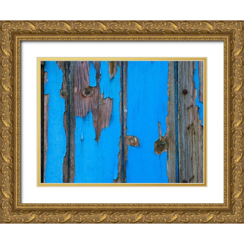 Paint on old door surface Gold Ornate Wood Framed Art Print with Double Matting by Frank, Assaf
