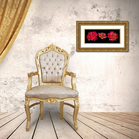 Three Dahlia flowers Gold Ornate Wood Framed Art Print with Double Matting by Frank, Assaf