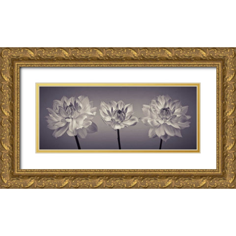 Three Dahlia flowers Gold Ornate Wood Framed Art Print with Double Matting by Frank, Assaf