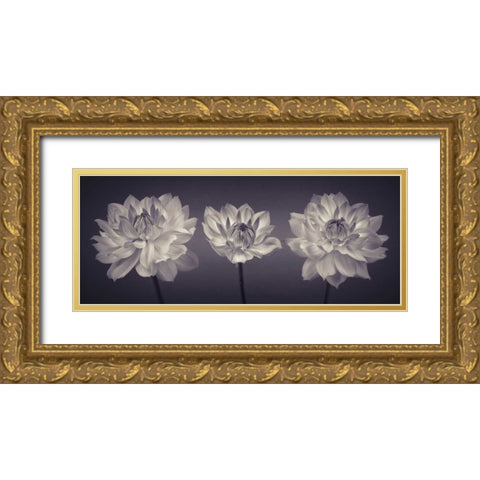 Three Dahlia flowers Gold Ornate Wood Framed Art Print with Double Matting by Frank, Assaf