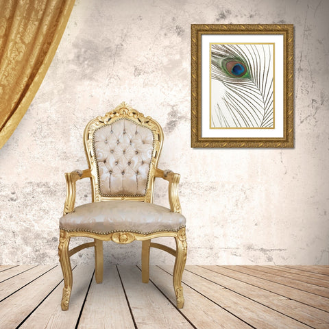 Peacock feather Gold Ornate Wood Framed Art Print with Double Matting by Frank, Assaf
