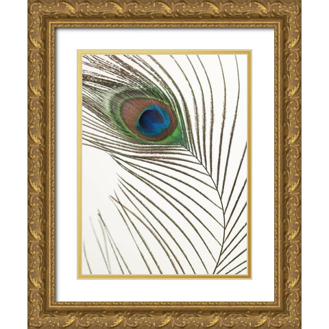Peacock feather Gold Ornate Wood Framed Art Print with Double Matting by Frank, Assaf