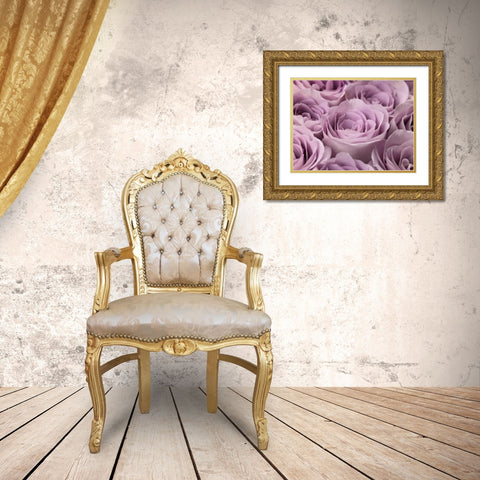 Roses full frame Gold Ornate Wood Framed Art Print with Double Matting by Frank, Assaf