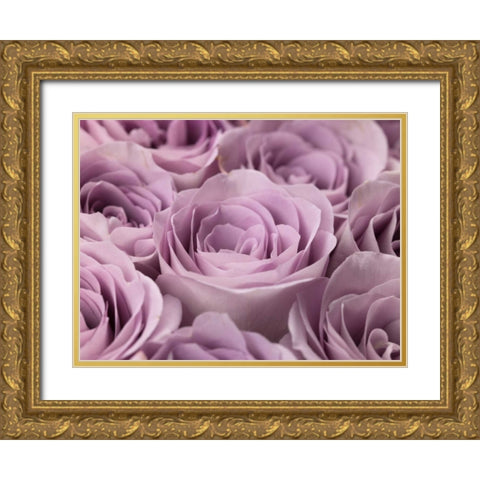 Roses full frame Gold Ornate Wood Framed Art Print with Double Matting by Frank, Assaf